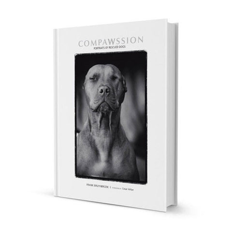 Compawssion: Portraits Of Rescued Dogs