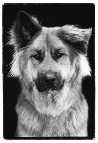 ARCHIE