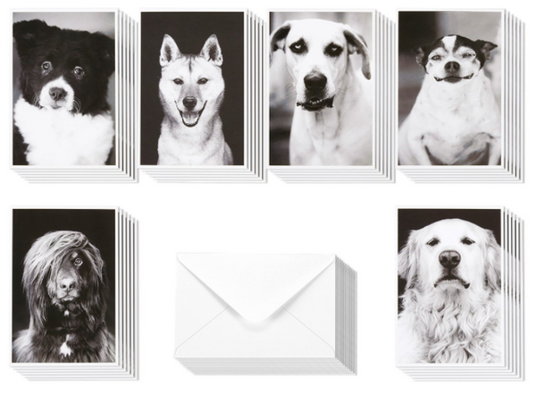 Blank Notecards - 36 Pack
