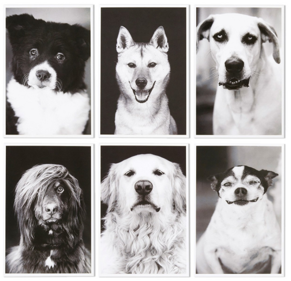 Blank Notecards - 36 Pack