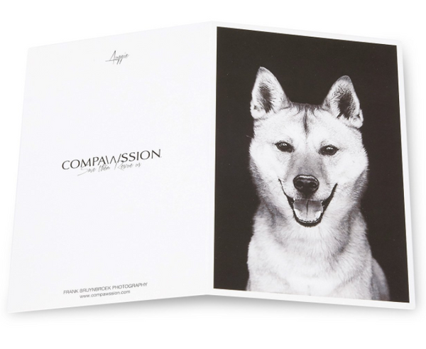 Blank Notecards - 36 Pack