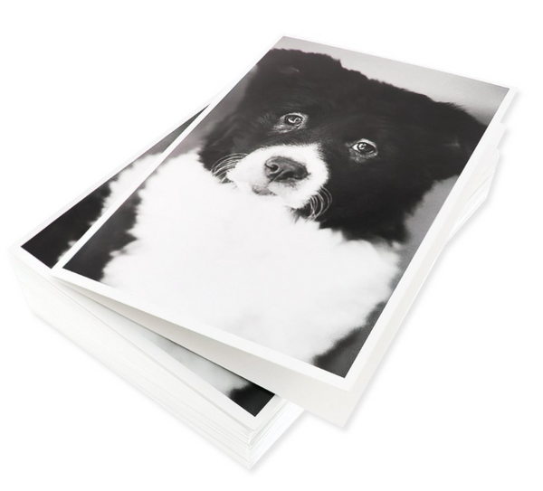 Blank Notecards - 36 Pack