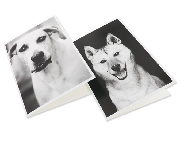 Blank Notecards - 36 Pack