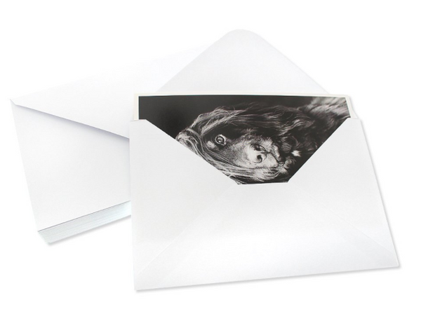 Blank Notecards - 36 Pack