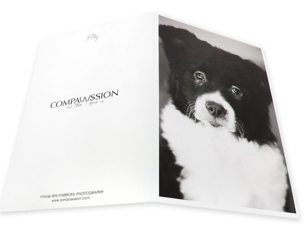 Blank Notecards - 36 Pack