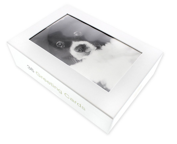 Blank Notecards - 36 Pack