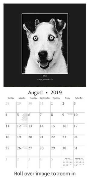 Compawssion Calendar 2019