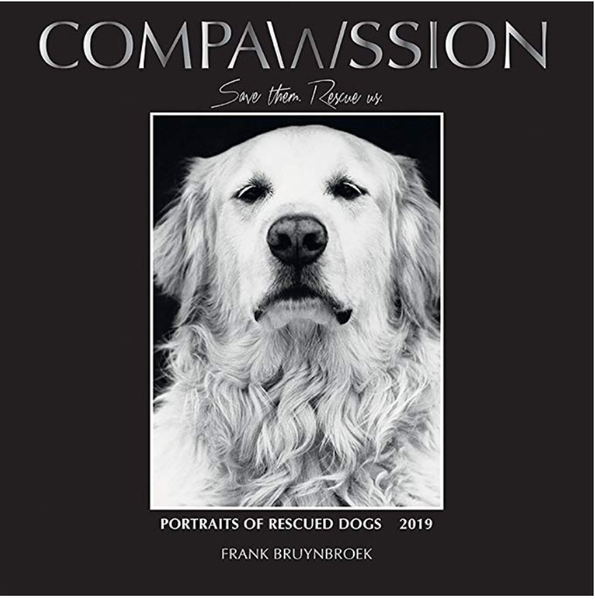Compawssion Calendar 2019