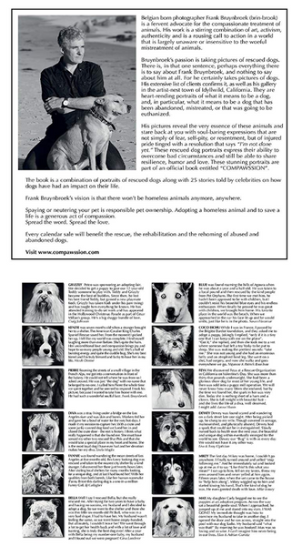 Compawssion Calendar 2019