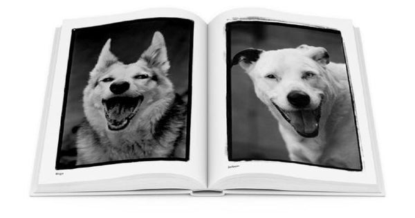 Compawssion: Portraits Of Rescued Dogs