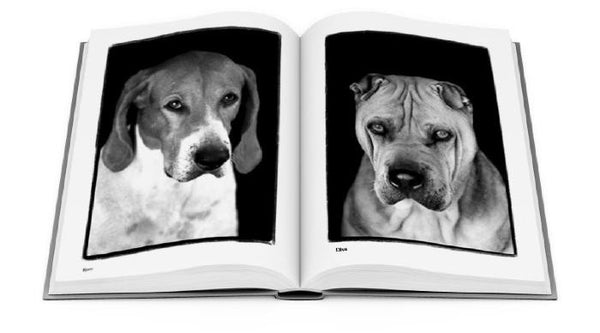 Compawssion: Portraits Of Rescued Dogs - Special Edition