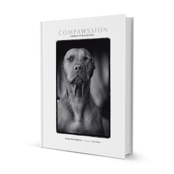 Compawssion: Portraits Of Rescued Dogs