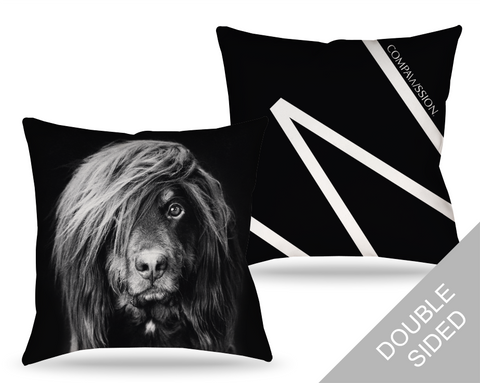 Sinbad Photo Pillow