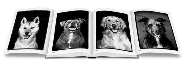 Compawssion: Portraits Of Rescued Dogs - Special Edition