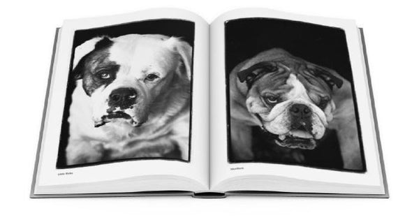 Compawssion: Portraits Of Rescued Dogs - Special Edition