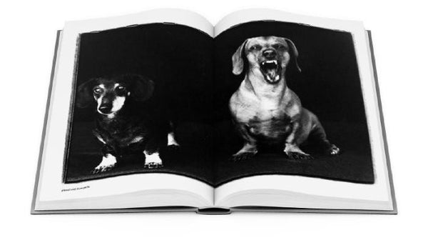 Compawssion: Portraits Of Rescued Dogs - Special Edition